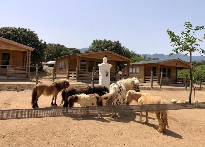 Les De Tesa 4 住宿加早餐酒店 Occhiatana