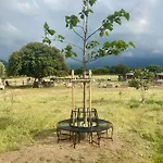 Les De Tesa 4 Occhiatana