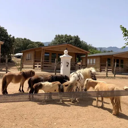 Les De Tesa 4 Bed & Breakfast Occhiatana